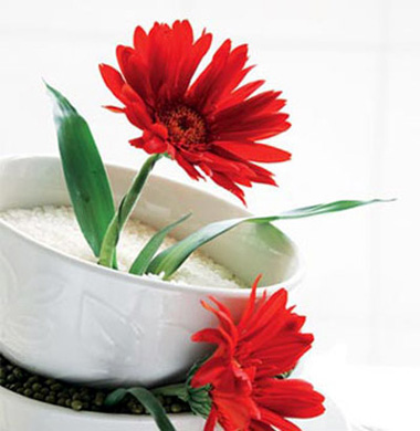 以花草为创意源泉 雕塑有生命的花艺厨房