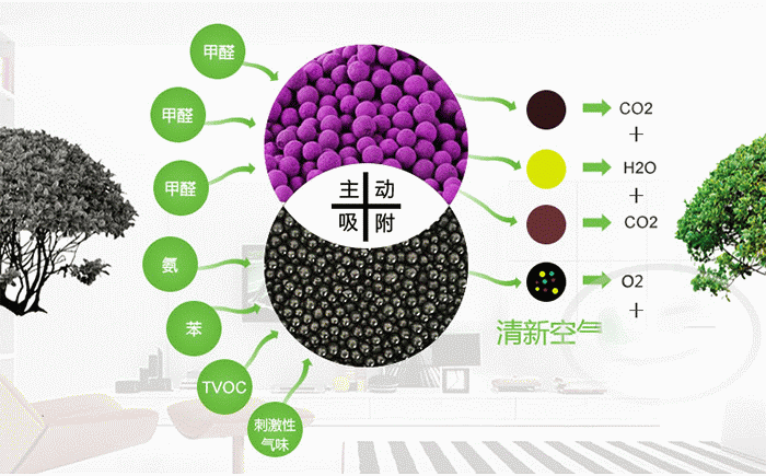 紫加黑是什么，新型除甲醛材料