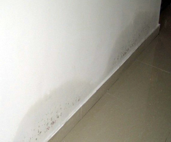 墙面渗水是什么原因？ 墙面渗水如何处理