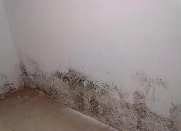 刷漆墙面各种污渍清洁方法 保养工作就得这么做
