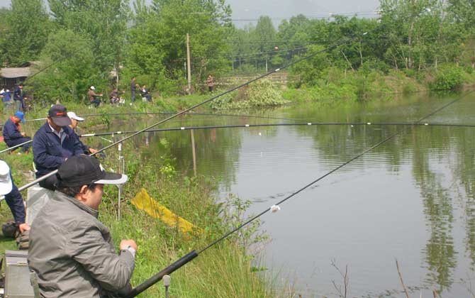 春季钓鱼有哪些技巧？