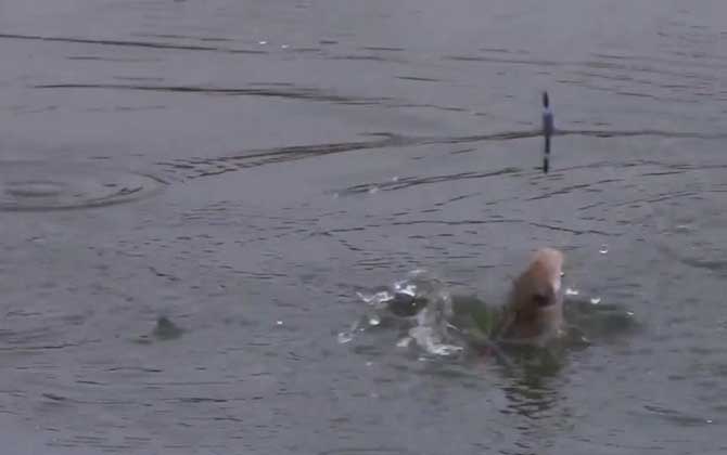 冬季钓鱼下雨天能钓鱼吗？