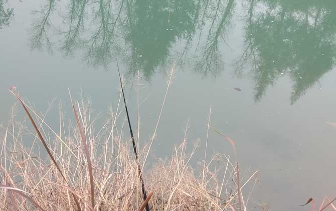 冬季钓鱼钓流水还是静水？