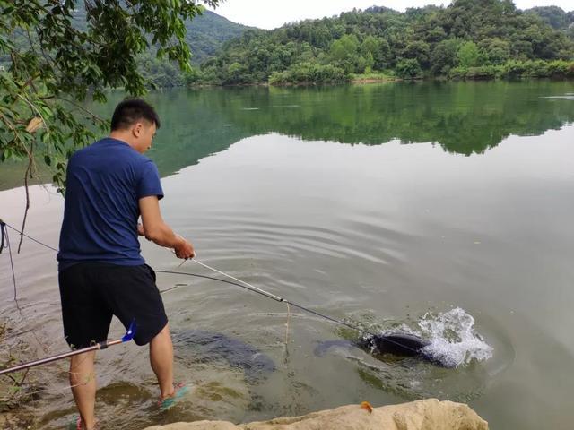 如何防止海竿阵截胡？可提前预防