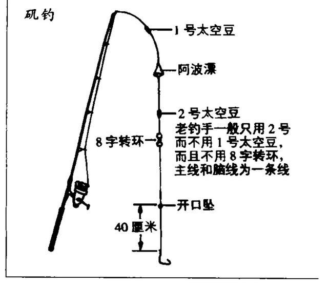 矶钓黑鲷，钓具，地点，钓饵等的简介