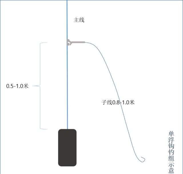 想钓米级海鲈那就必须选对钓法