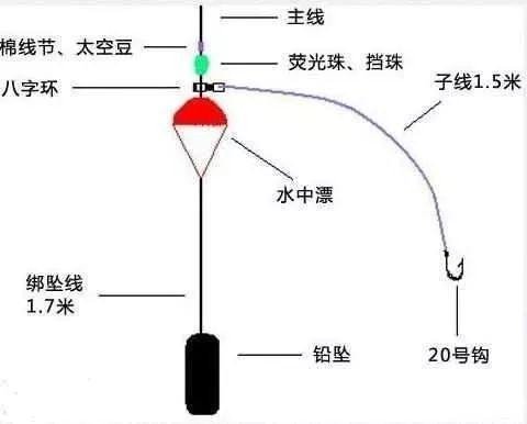 想钓米级海鲈那就必须选对钓法