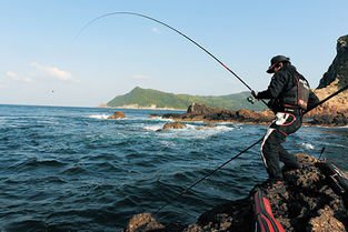 矶钓怎么玩？重点分析浮游矶钓和重矶钓