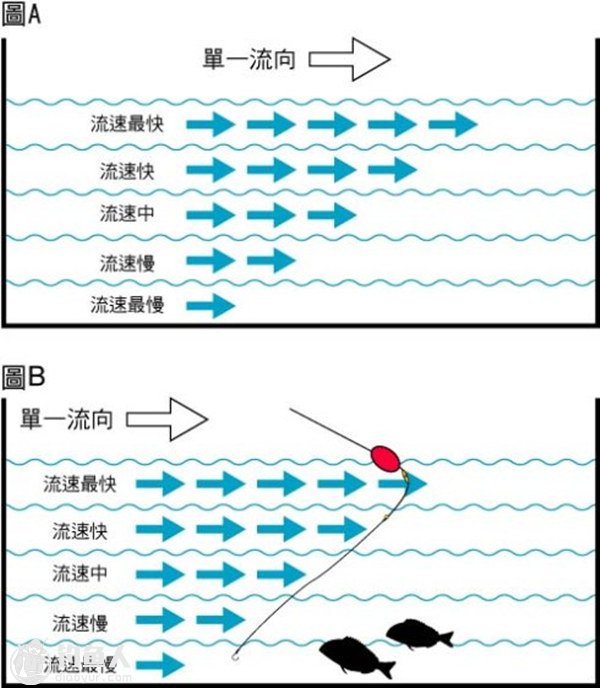 浅谈矶钓的操竿控线及张线技巧