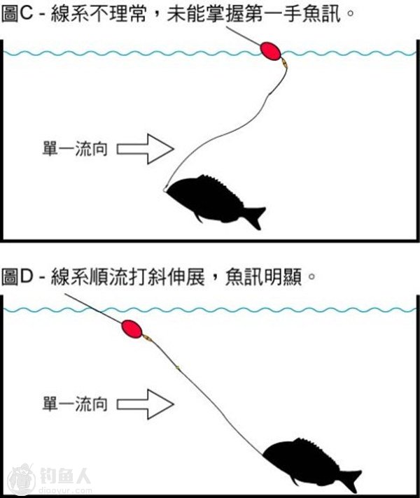 浅谈矶钓的操竿控线及张线技巧