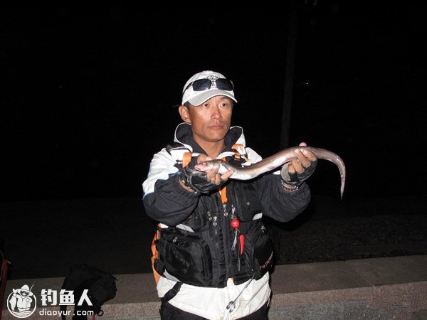 海船垂钓星鳗的攻略（习性、钓点、用饵）