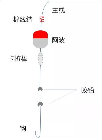 怎么捕获沙丁鱼？试试浮游矶钓法