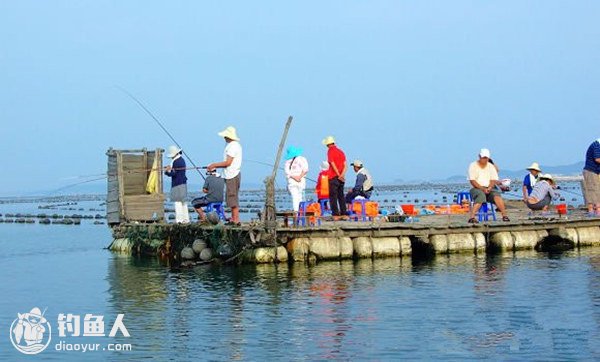 浅谈网箱海钓梭鱼的心得体会