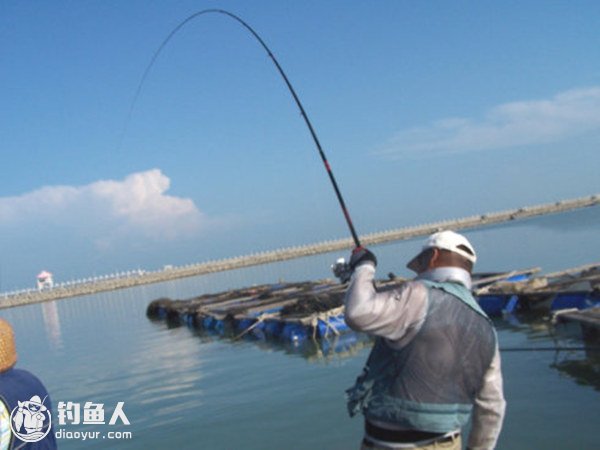 浅谈网箱海钓梭鱼的心得体会