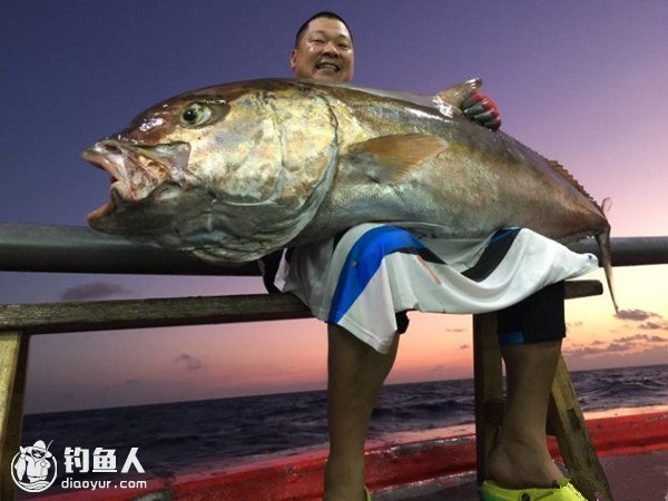 夏季海钓对象鱼的垂钓技法与线组的搭配