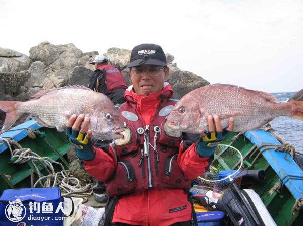 海钓真鲷鱼的诱饵笼钓法的运用技巧