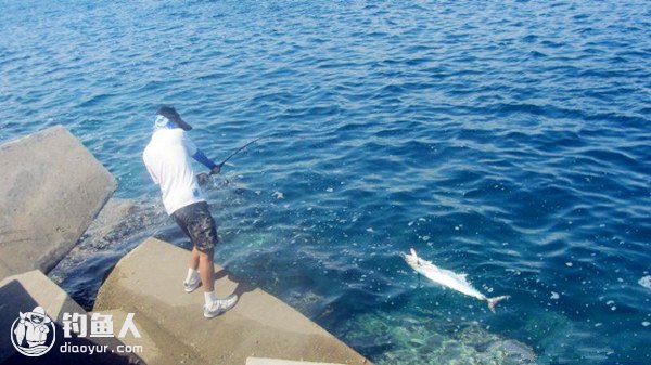 海岸垂钓技巧之拖钓技法的探讨