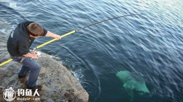 海钓鳐鱼的三大技巧解析