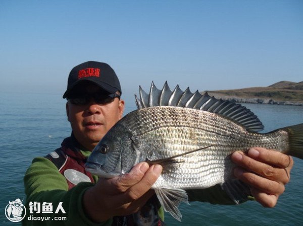 海滩滩钓黑鲷鱼的潮水、选点技巧