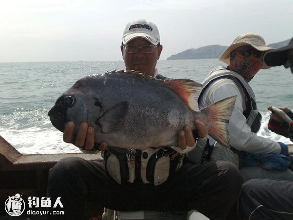 轻矶海钓石鲷鱼的攻略（装备、钓位、钓法）