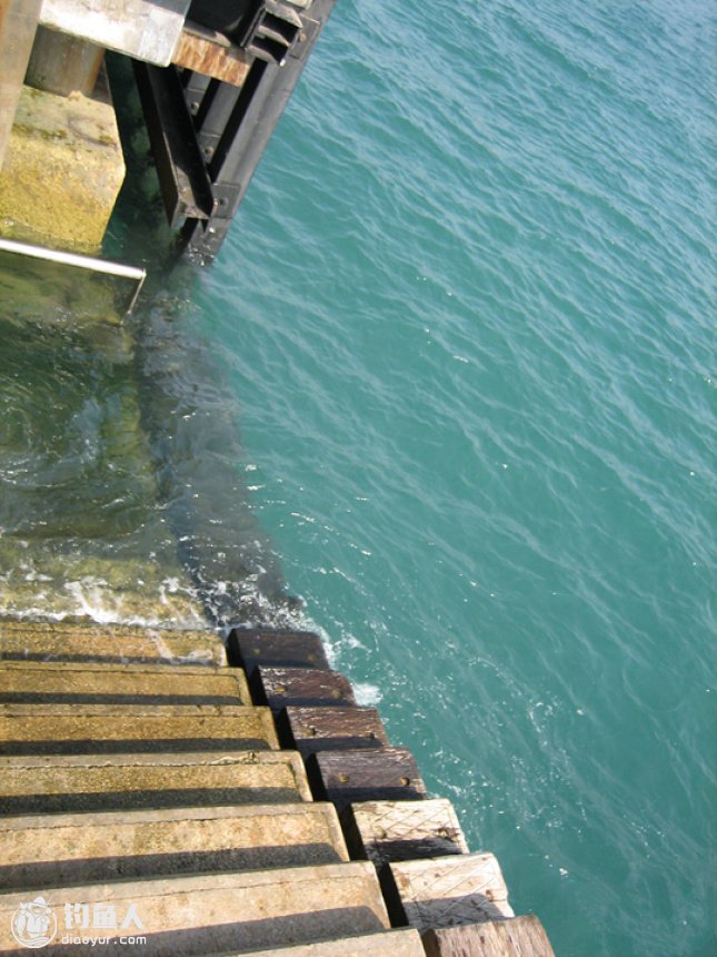 海钓老钟侃海钓码头深水钓大鱼