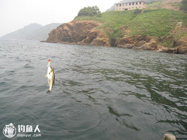 淡、海水兼用的深水炸弹钓鱼法介绍