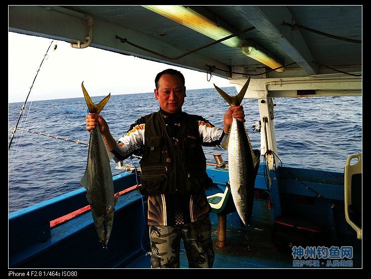 深海船钓毒片来袭 钓获大鱼满载而归