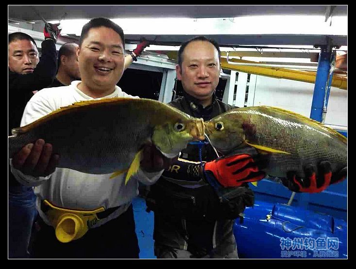 深海船钓毒片来袭 钓获大鱼满载而归