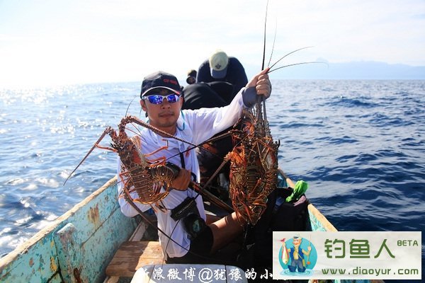 垂钓加勒比海捕获超大龙虾的一些技巧