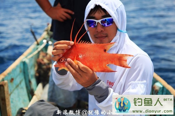 垂钓加勒比海捕获超大龙虾的一些技巧