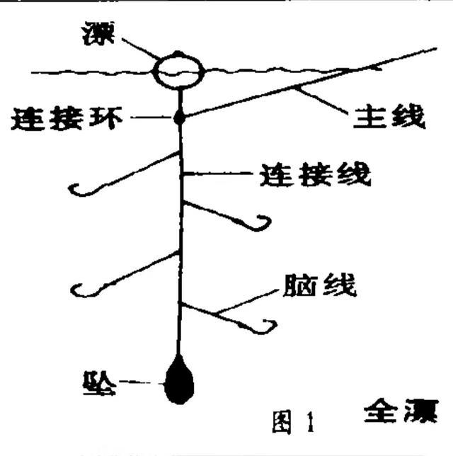 海钓用漂有几种方式？今天讲5种方式