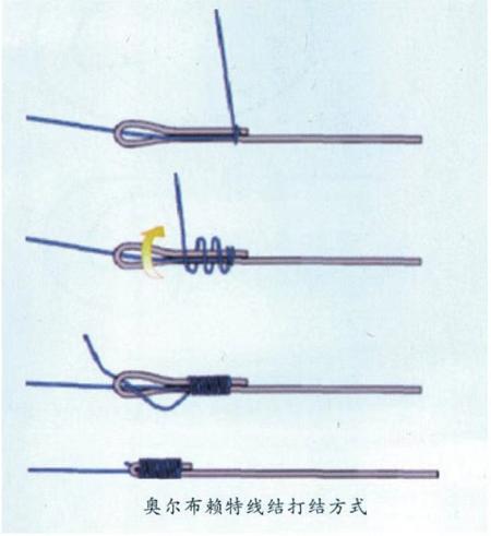 新手必看 六种常见的海钓线结详细介绍