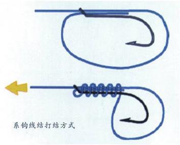 新手必看 六种常见的海钓线结详细介绍