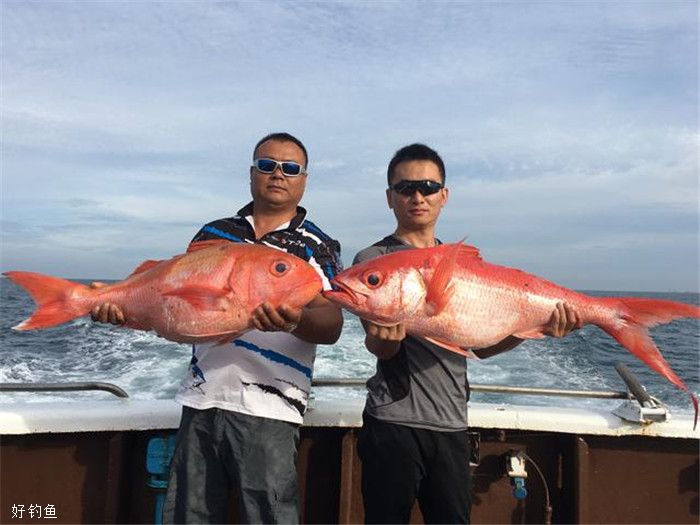 海钓技巧、装备的简单说明，让你快速入门