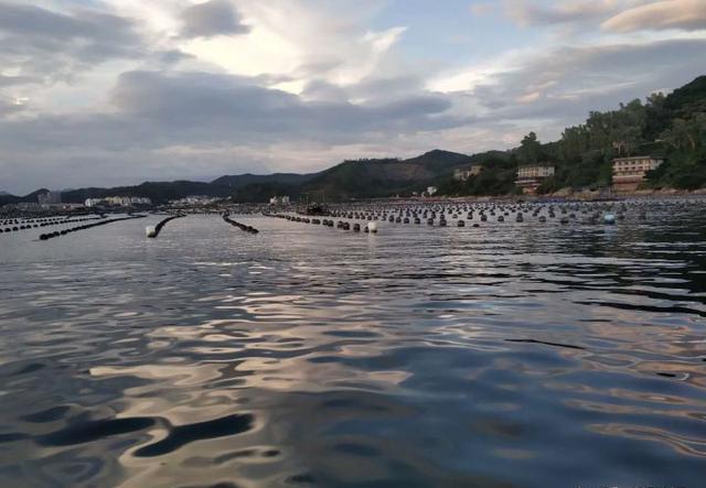 海钓从零开始钓点介绍