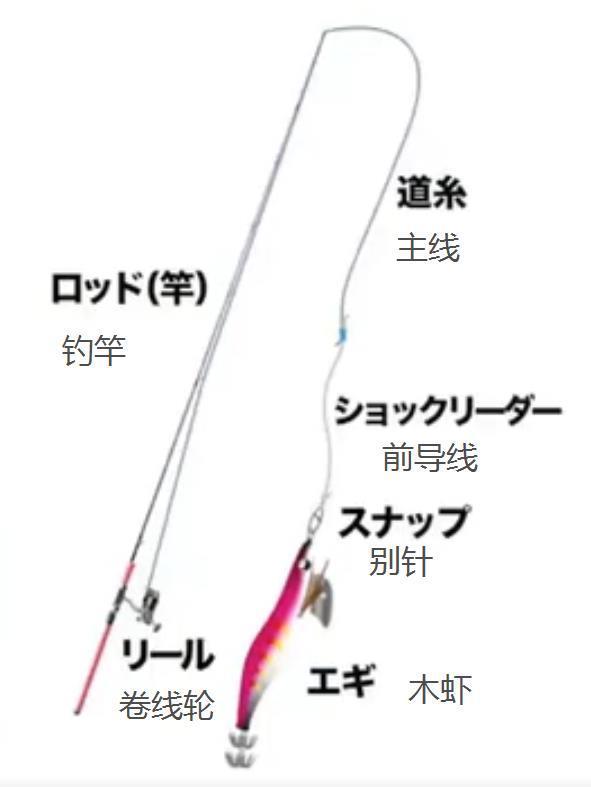 大尾鱿的海钓装备介绍