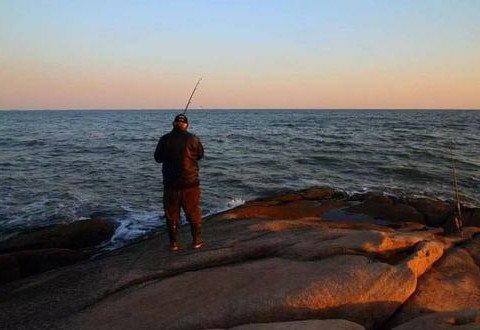 海钓新手如何能快速上鱼不打龟？