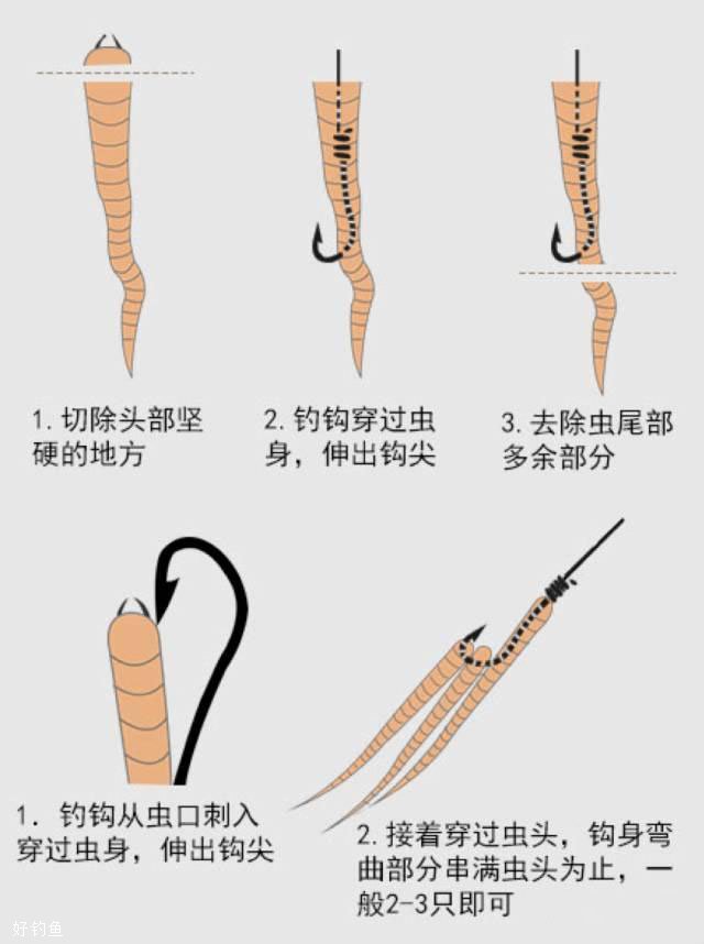 简单易懂，一目了然的海钓钓饵挂法