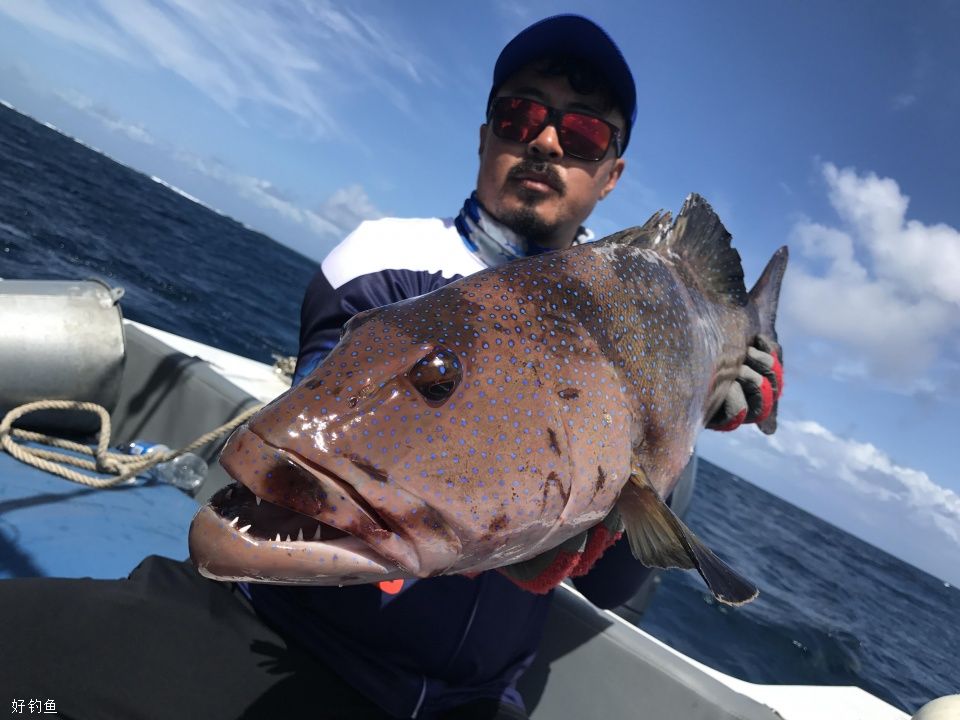 海钓那么令人神向，你又认识几种深海大鱼？