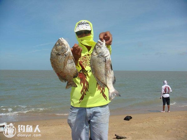 浅析海钓钓棚的设定与海鱼泳层的关系