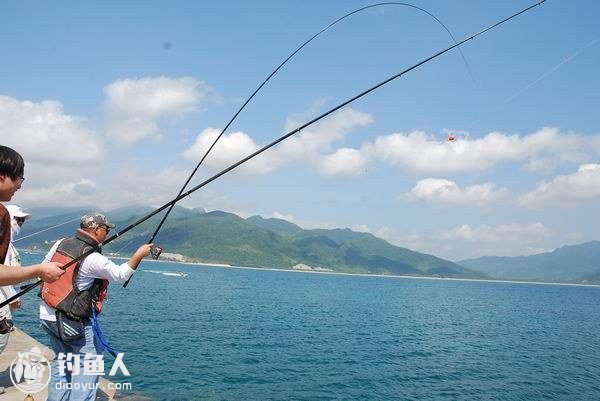 浅谈海钓浮波与诱钓同步的关系