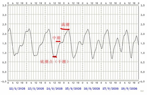 图文解读海钓的潮汐规律心得技巧