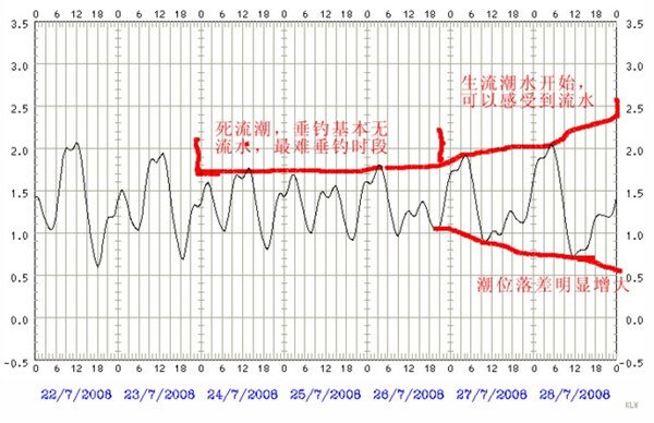 图文解读海钓的潮汐规律心得技巧