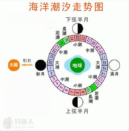 图文解读海钓的潮汐规律心得技巧