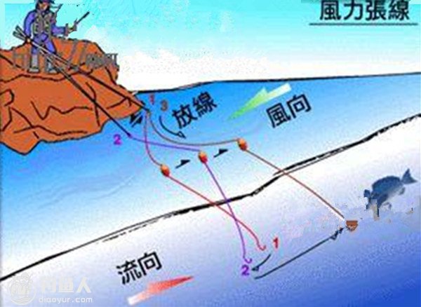 海钓钓组钓线的分析及控线的探讨