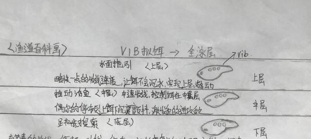 新手路亚应如何选择拟饵？以泳层选择，让假饵活起来