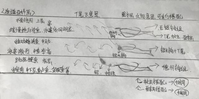 新手路亚应如何选择拟饵？以泳层选择，让假饵活起来