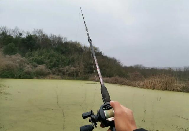 雷强黑鱼时为何总脱钩？详解跑鱼的主要原因和调整