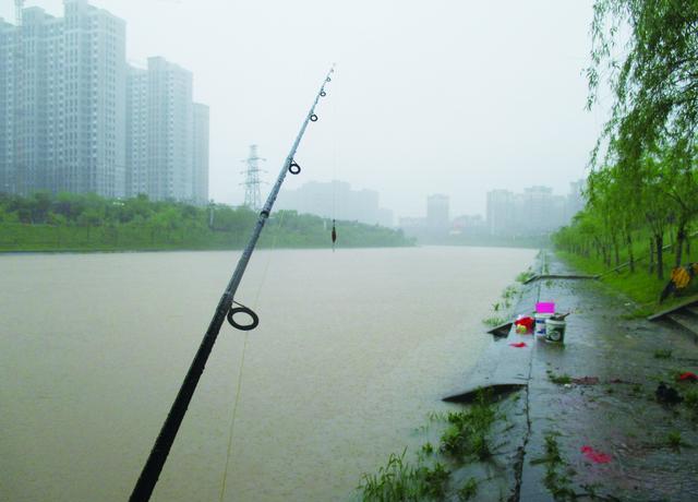 浑水路翘，我总结出四个心得，简单又实用