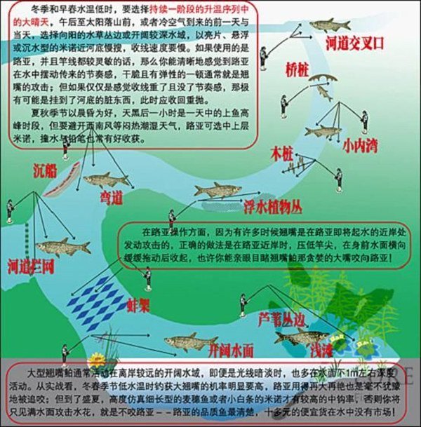 路亚翘嘴鱼的装备配置及选点操控技巧